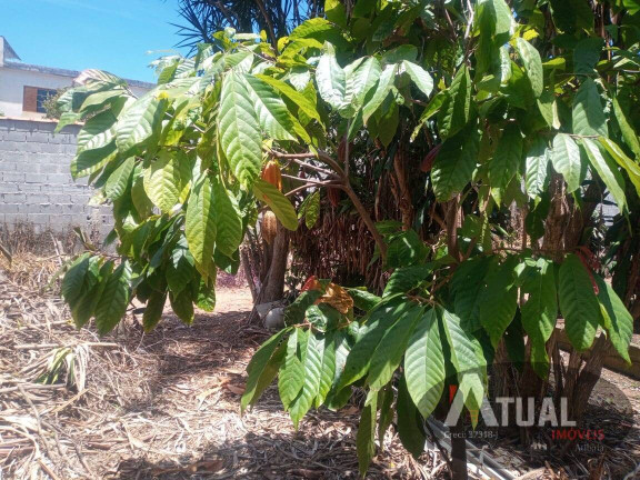 Imagem Terreno à Venda, 1.000 m² em Jardim Imperial - Atibaia Imagem Terreno à Venda, 1.000 m² em Jardim Imperial - Atibaia
