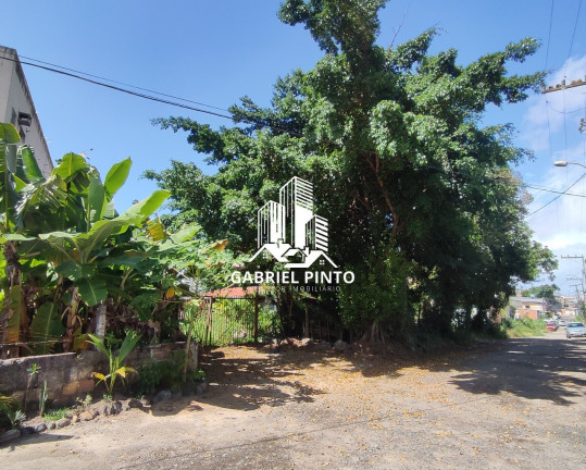 Imagem Terreno à Venda, 3.097 m² em Pitangueiras - Lauro De Freitas Imagem Terreno à Venda, 3.097 m² em Pitangueiras - Lauro De Freitas