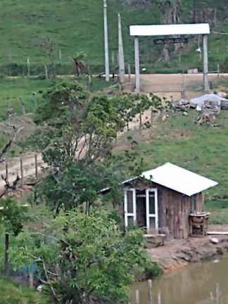 Imagem Chácara com 2 Quartos à Venda, 22.000 m² em Centro - São Pedro De Alcântara