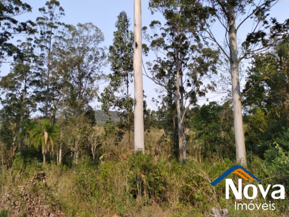 Imagem Imóvel à Venda, 12.086 m² em Vila Rica - Presidente Lucena Imagem Imóvel à Venda, 12.086 m² em Vila Rica - Presidente Lucena