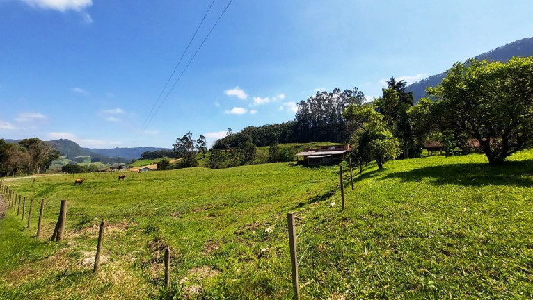 Imagem Imóvel com 3 Quartos à Venda, 100.000 m² em Zona Rural - Agrolândia