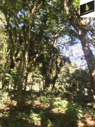 Imagem Imóvel com 3 Quartos à Venda, 30.000 m² em Zona Rural - Tijucas Do Sul