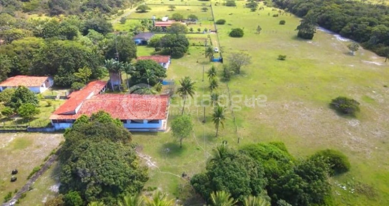 Imagem Fazenda à Venda, 200.000 m² em Pium - Nísia Floresta Imagem Fazenda à Venda, 200.000 m² em Pium - Nísia Floresta