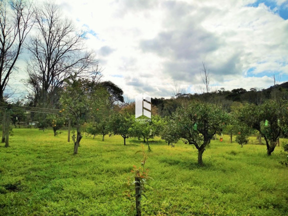 Imagem Casa com 2 Quartos à Venda, 7.474 m² em Km 3 - Santa Maria