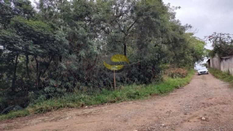 Imagem Terreno à Venda, 6.000 m² em Jardim Colibri - Cotia Imagem Terreno à Venda, 6.000 m² em Jardim Colibri - Cotia