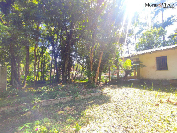 Imagem Chácara à Venda, 6.000 m² em Loteamento Chácara Chantecler - Piraquara Imagem Chácara à Venda, 6.000 m² em Loteamento Chácara Chantecler - Piraquara