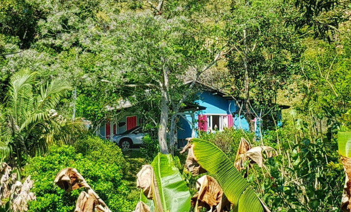 Imagem Chácara à Venda, 330 m² em águas Mornas Imagem Chácara à Venda, 330 m² em águas Mornas