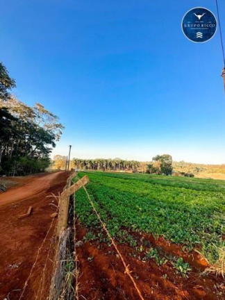 Imagem Chácara à Venda, 16 m² em Sítios De Recreio Dos Bandeirantes - Goiânia