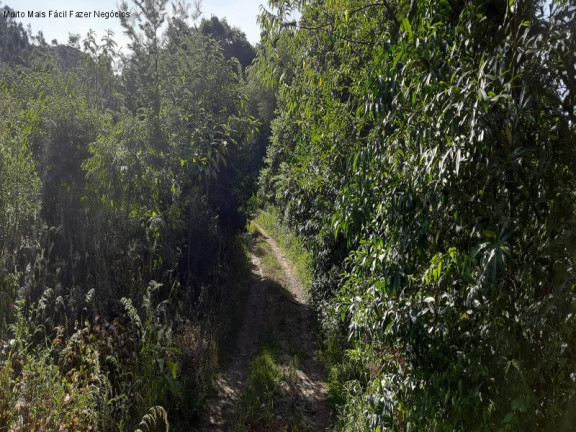 Imagem Terreno à Venda, em Bavaria - Nova Petrópolis Imagem Terreno à Venda, em Bavaria - Nova Petrópolis