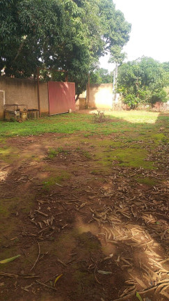 Imagem Chácara à Venda, 6.000 m² em Zona Rural - Brasília Imagem Chácara à Venda, 6.000 m² em Zona Rural - Brasília