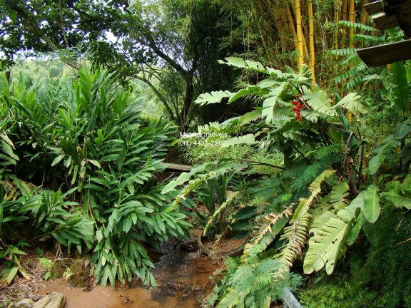 Imagem Imóvel com 3 Quartos à Venda, 2.000 m² em Champirra - Jundiaí