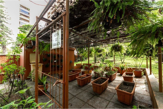 Imagem Apartamento com 4 Quartos à Venda, 208 m² em Vila Suzana - São Paulo Imagem Apartamento com 4 Quartos à Venda, 208 m² em Vila Suzana - São Paulo