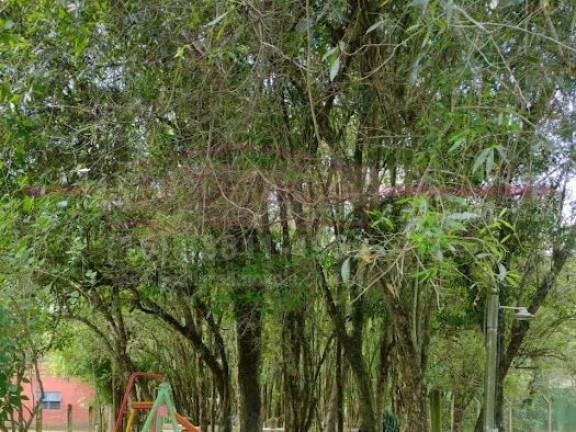 Imagem Chácara com 4 Quartos à Venda, 240 m² em Terras De São Francisco - Boituva