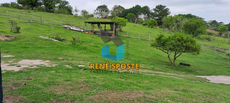 Imagem Chácara com 2 Quartos à Venda, 5.652 m² em Floresta Escura - São Pedro