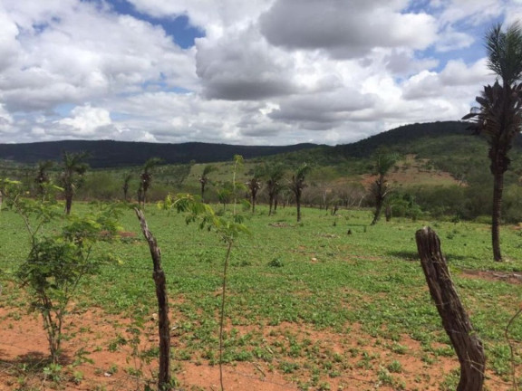 Imagem Fazenda à Venda, 200 m² em Br 116 - Euclides Da Cunha Imagem Fazenda à Venda, 200 m² em Br 116 - Euclides Da Cunha