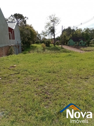 Imagem Imóvel à Venda, 1.237 m² em Piá - Nova Petrópolis Imagem Imóvel à Venda, 1.237 m² em Piá - Nova Petrópolis