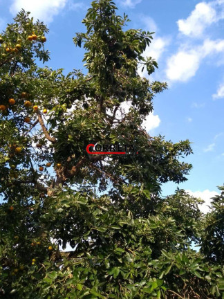 Imagem Chácara com 4 Quartos à Venda, 2.250 m² em Campo Verde - Ibiúna Imagem Chácara com 4 Quartos à Venda, 2.250 m² em Campo Verde - Ibiúna