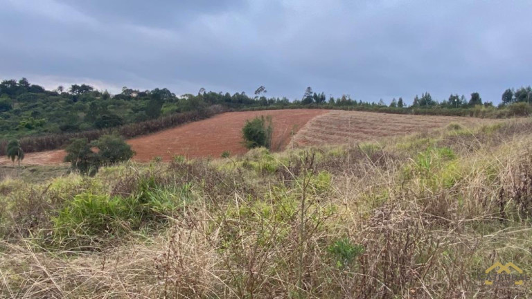 Imagem Terreno à Venda, 27.000 m² em Campo Largo - Jarinu Imagem Terreno à Venda, 27.000 m² em Campo Largo - Jarinu