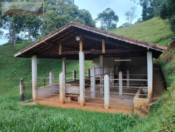 Imagem Casa com 14 Quartos à Venda, 86.000 m² em Araújo - Nazaré Paulista