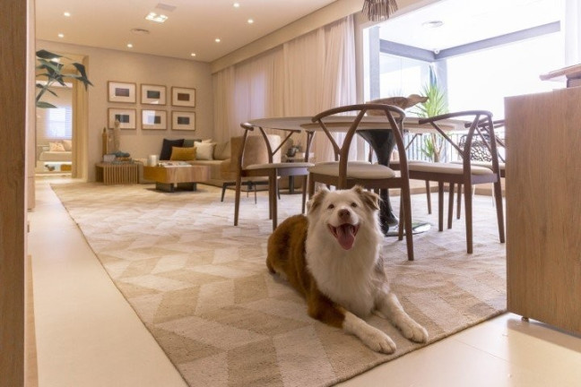 Imagem Imóvel com 3 Quartos à Venda, 87 m² em Morumbi - São Paulo