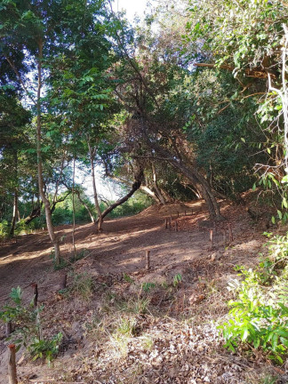 Imagem Terreno à Venda, 550 m² em Cotovelo (distrito Litoral) - Parnamirim Imagem Terreno à Venda, 550 m² em Cotovelo (distrito Litoral) - Parnamirim