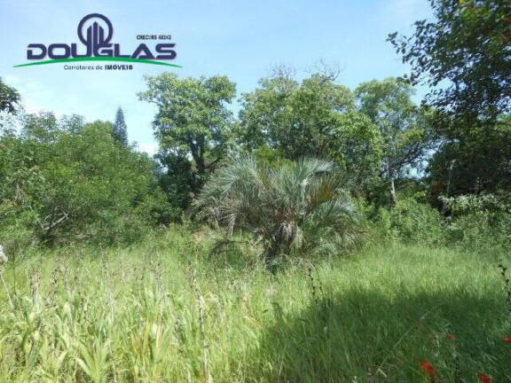 Imagem Imóvel Comercial à Venda, 13 m² em Viamão Imagem Imóvel Comercial à Venda, 13 m² em Viamão