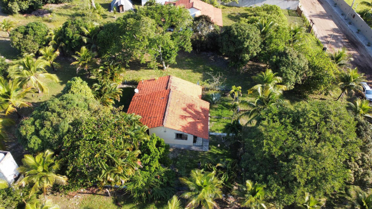 Imagem Casa com 3 Quartos à Venda, 4.000 m² em Marau Imagem Casa com 3 Quartos à Venda, 4.000 m² em Marau