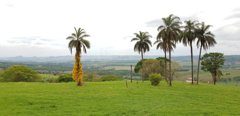 Imóvel com 3 Quartos à Venda, 24 m² em área Rural De Franca - Franca