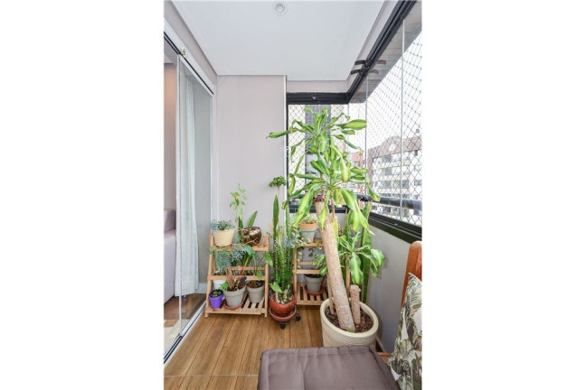 Imagem Apartamento com 3 Quartos à Venda, 107 m² em Jardim Vila Mariana - São Paulo Imagem Apartamento com 3 Quartos à Venda, 107 m² em Jardim Vila Mariana - São Paulo