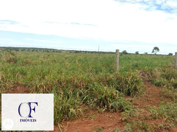Imagem Fazenda à Venda, 3.097 m² em Rural - Chapadão Do Sul Imagem Fazenda à Venda, 3.097 m² em Rural - Chapadão Do Sul