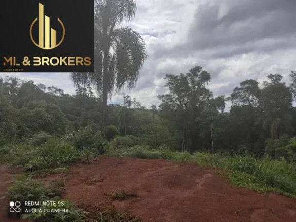 Imagem Imóvel à Venda, 20.000 m² em Sao Silvestre - Campo Largo