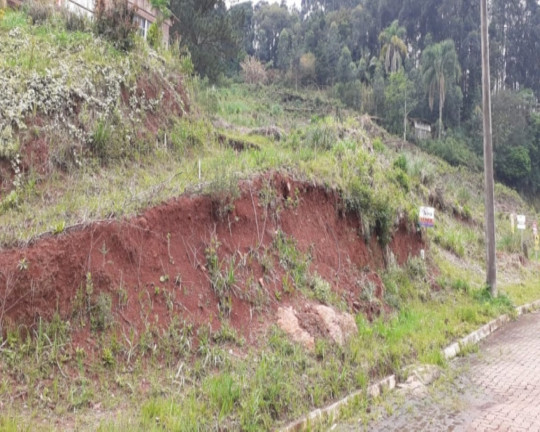 Imagem Imóvel à Venda, 455 m² em Piá - Nova Petrópolis