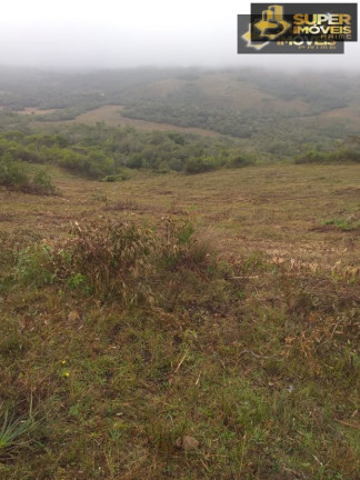 Imagem Imóvel com 2 Quartos à Venda, 4.140.000 m² em Centro - Piratini