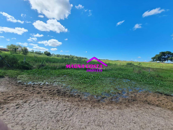 Imagem Fazenda à Venda, 2 m² em Banqueiros - Araruama Imagem Fazenda à Venda, 2 m² em Banqueiros - Araruama
