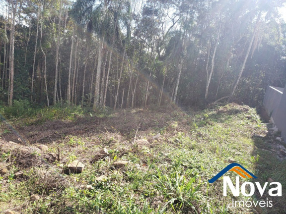 Imagem Imóvel à Venda, 363 m² em Bavária - Nova Petrópolis