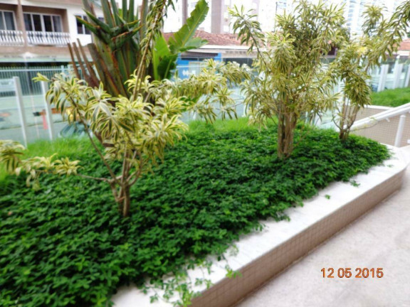 Imagem Apartamento com 2 Quartos à Venda, 87 m² em Ocian - Praia Grande