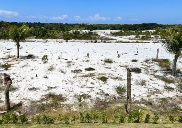 Imagem Terreno à Venda, 830 m² em Praia Do Forte - Mata De São João Imagem Terreno à Venda, 830 m² em Praia Do Forte - Mata De São João