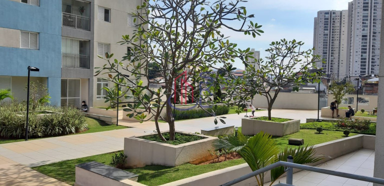 Imagem Apartamento com 2 Quartos à Venda, 48 m² em Jardim Flor Da Montanha - Guarulhos Imagem Apartamento com 2 Quartos à Venda, 48 m² em Jardim Flor Da Montanha - Guarulhos