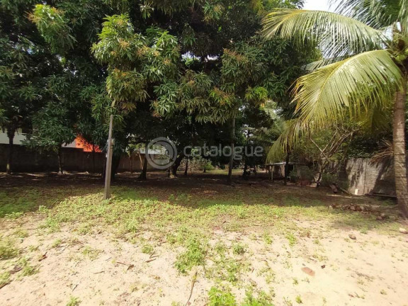 Imagem Terreno à Venda, 6.225 m² em Barra De Tabatinga - Nísia Floresta Imagem Terreno à Venda, 6.225 m² em Barra De Tabatinga - Nísia Floresta
