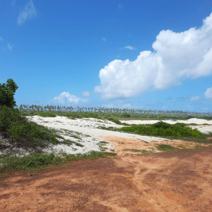 Imagem Terreno à Venda, 600 m² em Praia Do Forte - Mata De São João Imagem Terreno à Venda, 600 m² em Praia Do Forte - Mata De São João