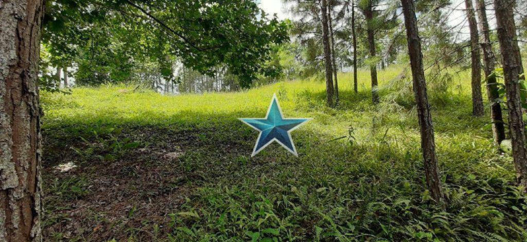 Imagem Imóvel à Venda, 74.000 m² em Fazenda Vitoria - São Lourenço Da Serra