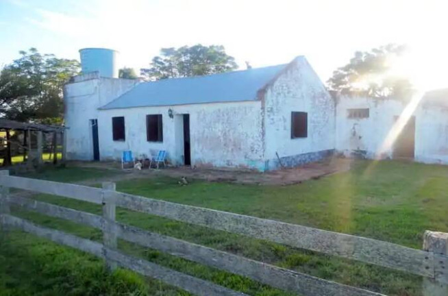 Imóvel com 3 Quartos à Venda, 4.563 m² em Baltasar Brum