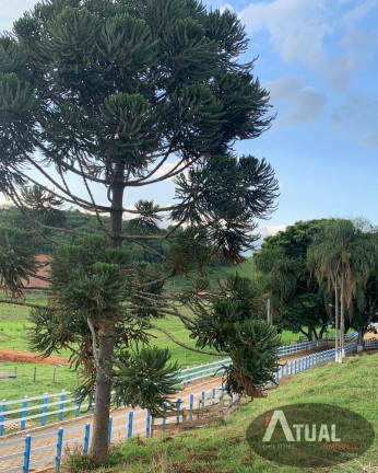 Imagem Fazenda à Venda, 900 m² em Morro Grande - Piranguinho