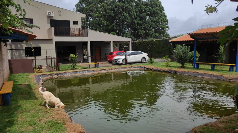 Imagem Chácara com 4 Quartos à Venda, 1.500 m² em Arapongas Imagem Chácara com 4 Quartos à Venda, 1.500 m² em Arapongas