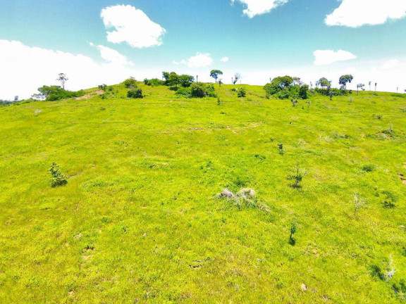 Imagem Fazenda à Venda, em Campinápolis Imagem Fazenda à Venda, em Campinápolis