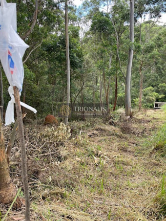 Imagem Terreno à Venda, 360 m² em Bosque Dos Eucalíptos - Atibaia Imagem Terreno à Venda, 360 m² em Bosque Dos Eucalíptos - Atibaia