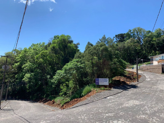 Imagem Terreno à Venda, 1 m² em Dois Pinheiros - Videira Imagem Terreno à Venda, 1 m² em Dois Pinheiros - Videira