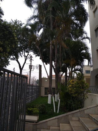 Imagem Cobertura com 4 Quartos à Venda, 140 m² em Vila Matilde - São Paulo