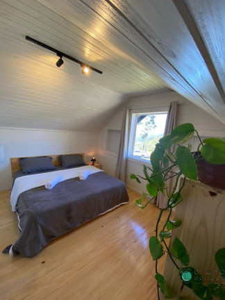 Imagem Imóvel com 3 Quartos à Venda, 28.000 m² em Zona Rural - Bom Retiro
