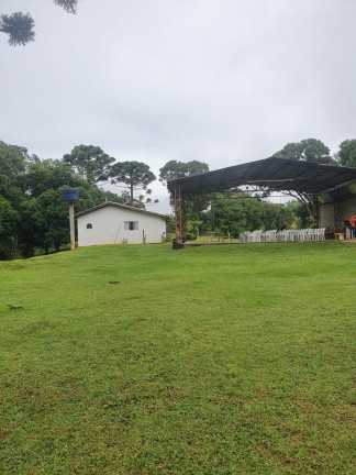 Imagem Imóvel com 4 Quartos à Venda, 38.704 m² em Chimboveiro - Mandirituba